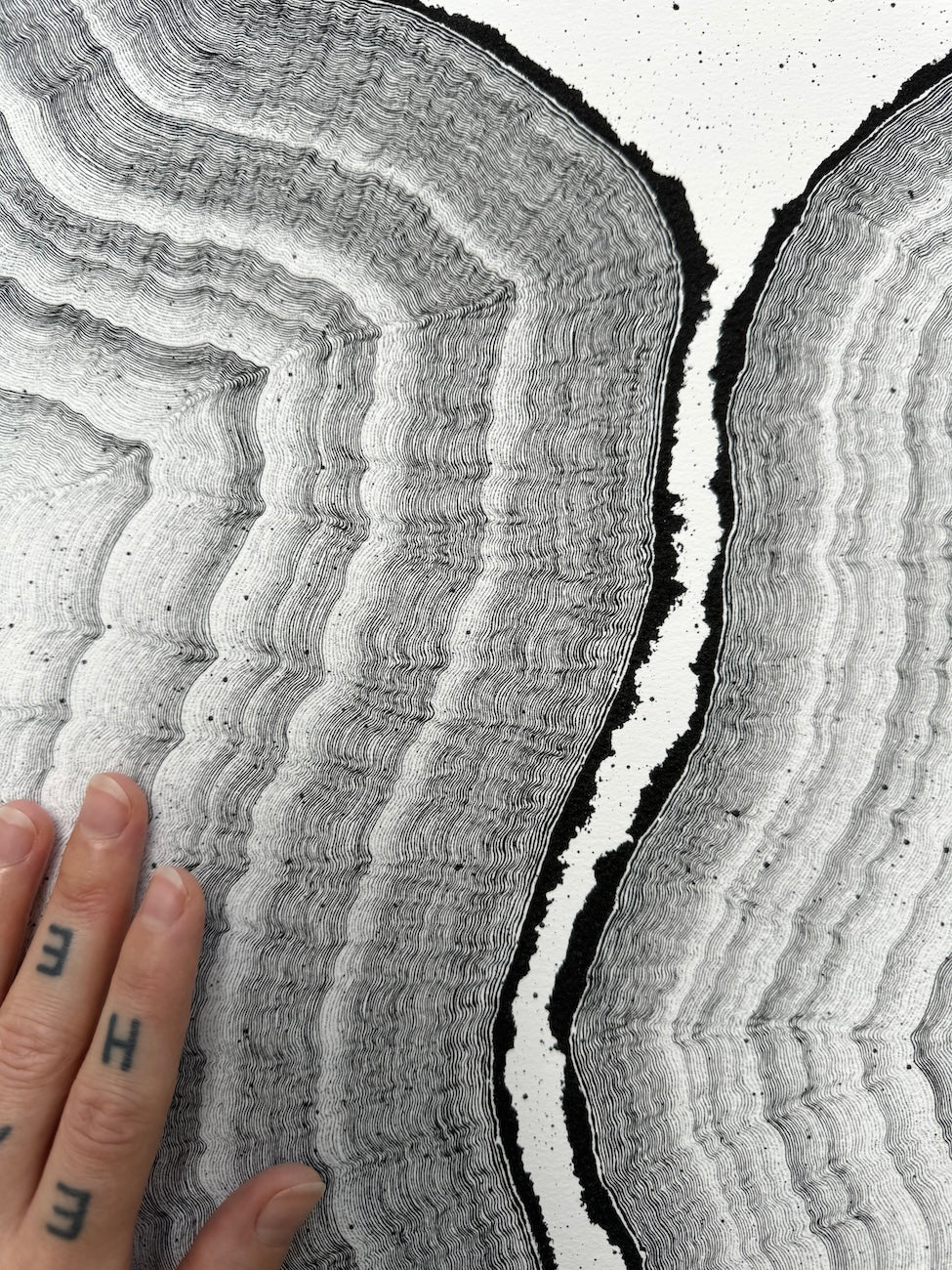 Nuances of Life Collection