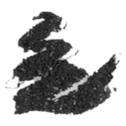 Roberta Boffo logo